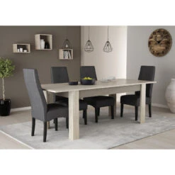 Demeyere Table Avec Rallonge 170/230x90cm Cannes -Magasin Mobilier table avec rallonge 170 230x90cm cannes chene champagne beton clair 5